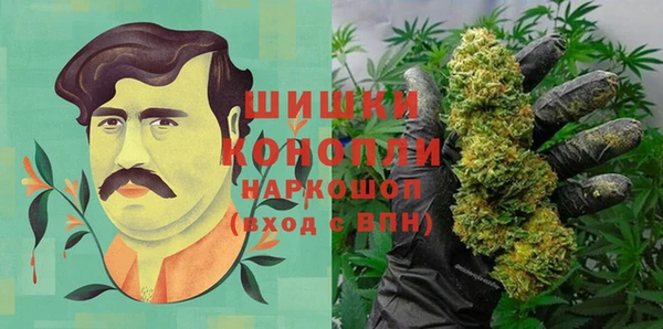 ГАЛЛЮЦИНОГЕННЫЕ ГРИБЫ Волосово