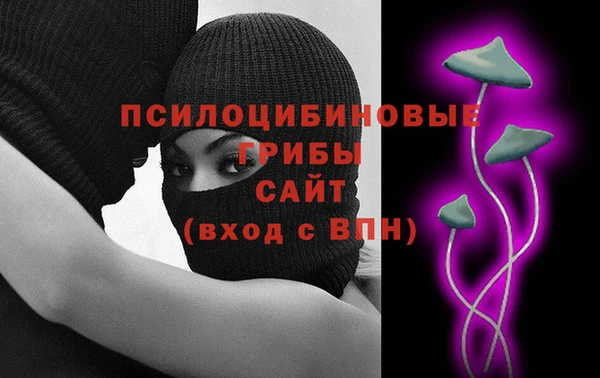 ГАЛЛЮЦИНОГЕННЫЕ ГРИБЫ Волосово