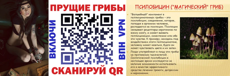 Галлюциногенные грибы Magic Shrooms  Галич 