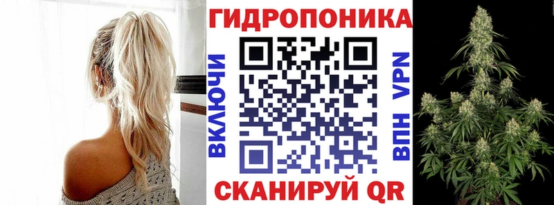 Шишки марихуана AK-47  купить  цена  Галич 